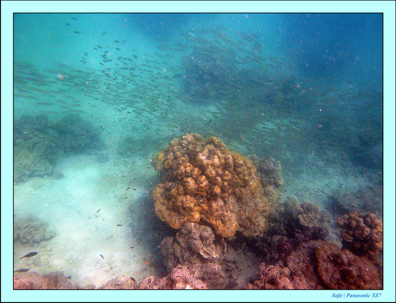 2011 - 03 - Koh Kradan 054